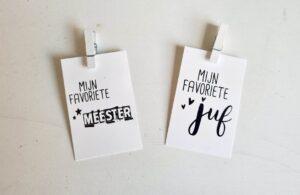 Mini kaartje & Knijper Juf en Meester