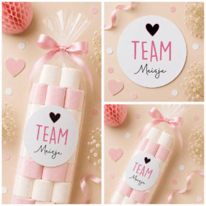 Team Boy/Girl Sluitstickers