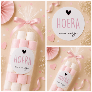 Hoera een zusje Sluitstickers