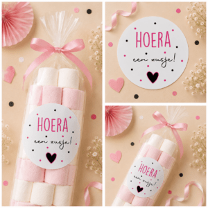 Hoera een zusje stippen Sluitstickers