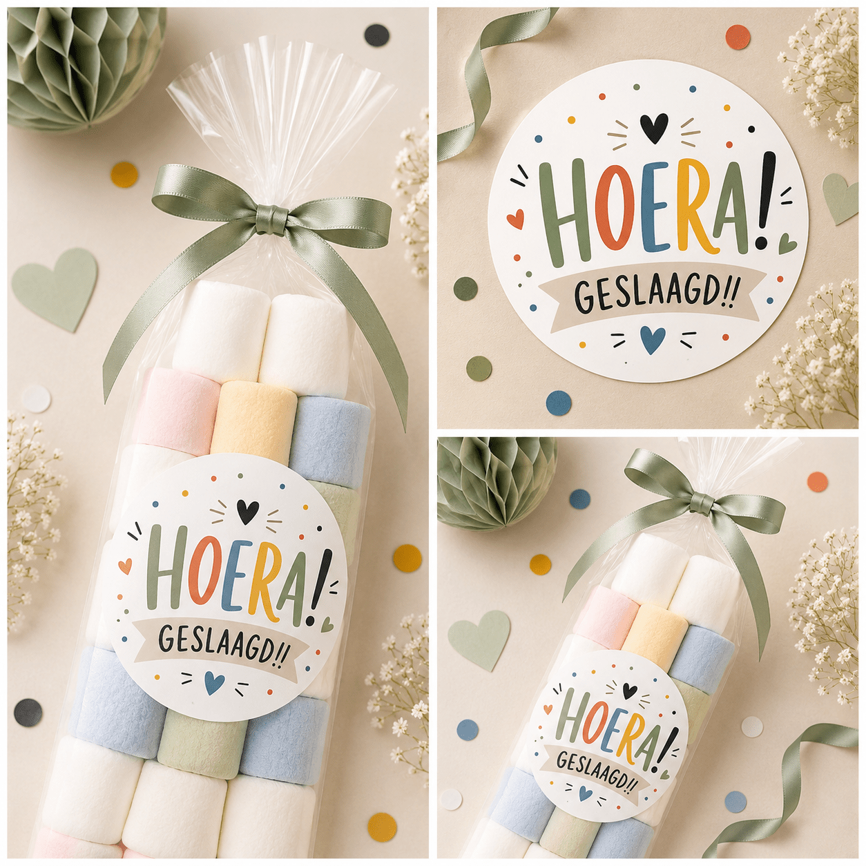 Hoera! Geslaagd!! Sluitstickers